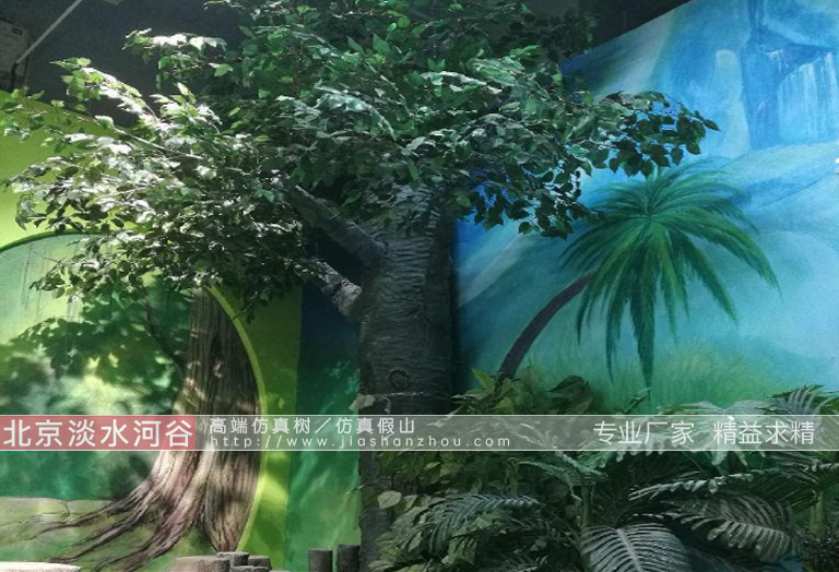 假樹