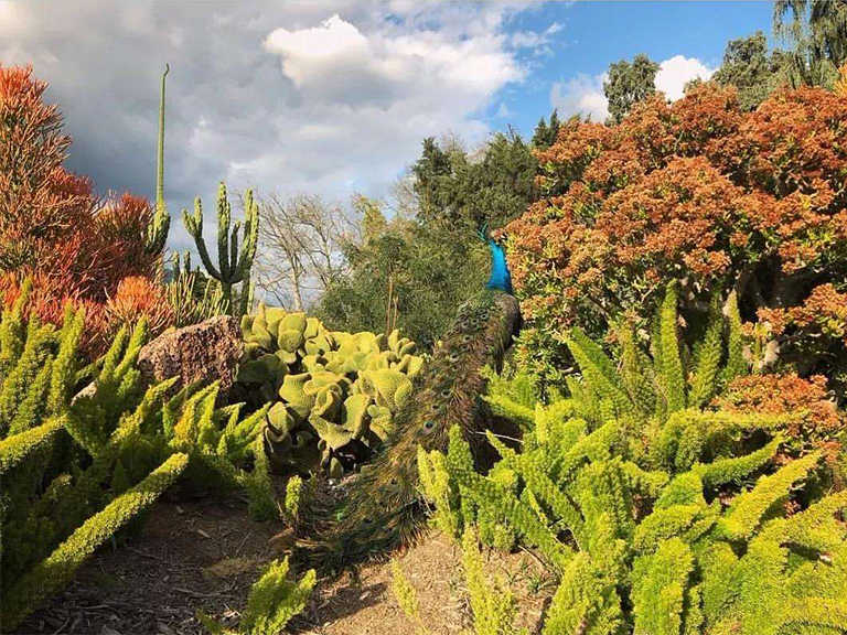 動植物園