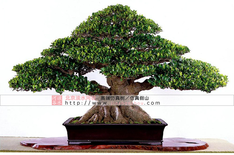 仿真樹(shù)